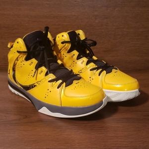 Nike Jordan phase 23 hoops 2